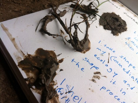 72dpi_Uncertain_Shores_19_Aug_2015_02